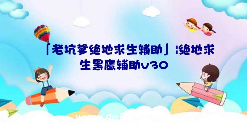 「老坑爹绝地求生辅助」|绝地求生黑鹰辅助v30